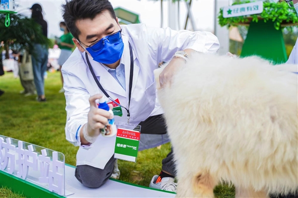 京東健康-寵物健康攜手福來恩，專業守護，助力愛寵化身“撒野英雄”